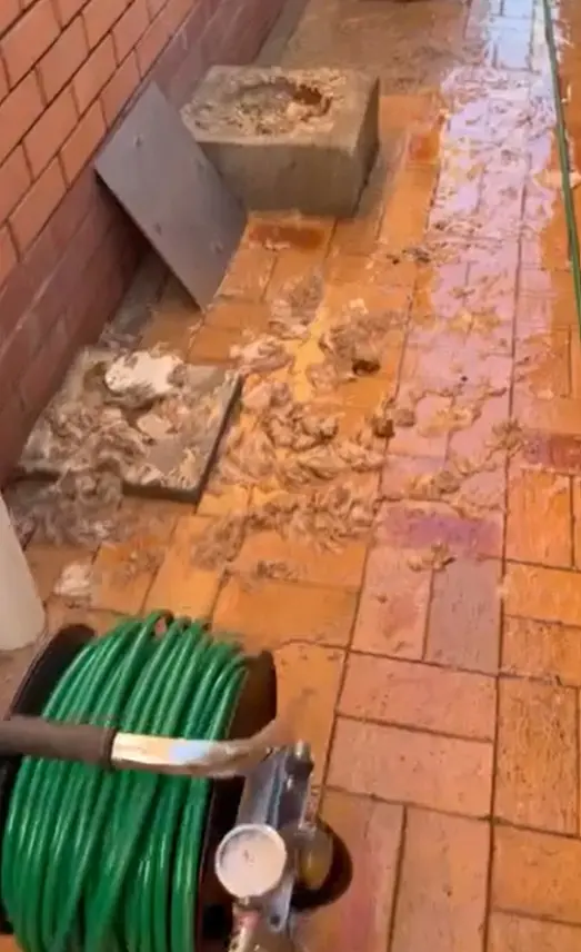 Overflowing sewer before drain clearing